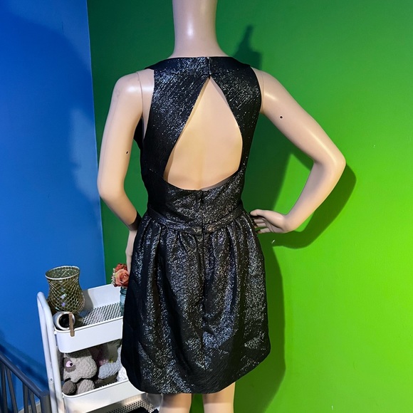 NWOT $325 Parker | Claudette | Backless Cocktail Dress | A-Line | Metallic - Picture 3 of 13